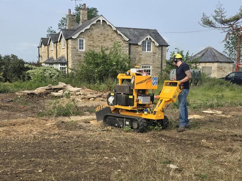 Professional landscaping and grounds development