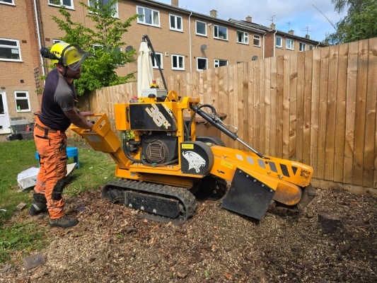 Tree Surgeon Service